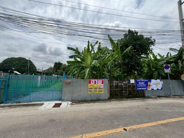 ���Թ �ҧ��Ѵ