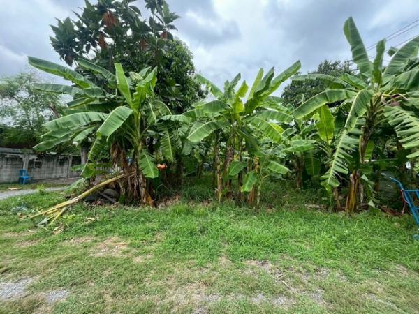 ��·��Թ �ҧ��Ѵ��ا෾