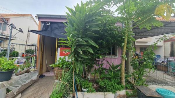 ��ǹ�������ѭ���� �����ҹ�