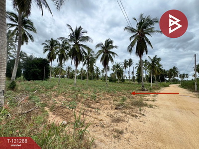 �ź��� �� The Best Property Agent