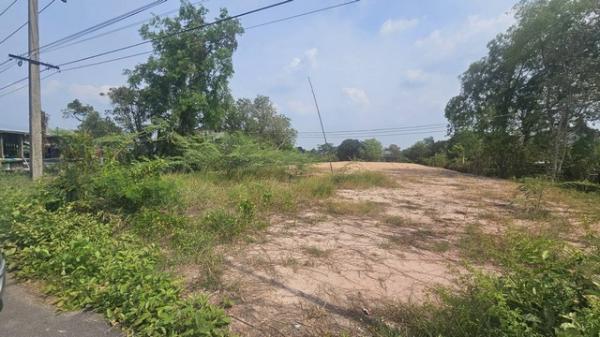 ���Թ������ ���ͧ��ù�¡��ù�¡