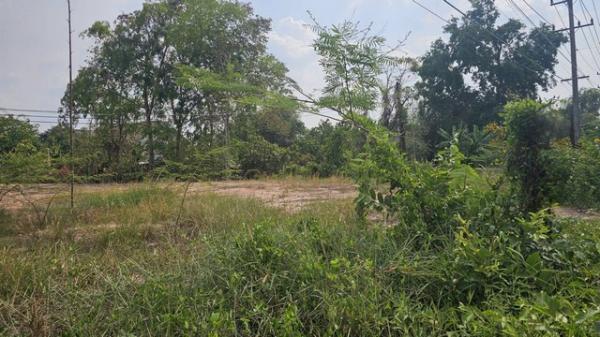 ���Թ������ ���ͧ��ù�¡��ù�¡