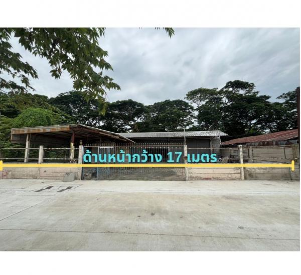 ที่ดิน lotus ที่ดิน lotus