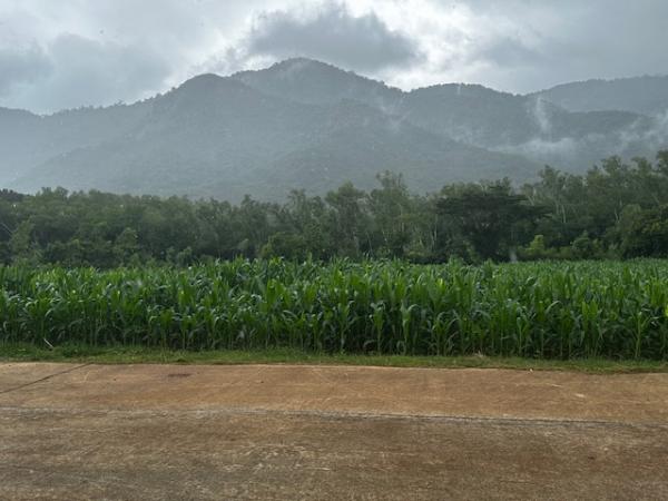 ·Õè´Ô¹ 4 äÃè ·Õè´Ô¹ 4 äÃè