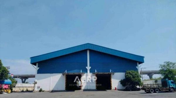 Acute Realty Partner