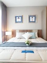 �����Ҥ͹������� �Ҥһ�С�������� 19,500 �ҷ/��͹