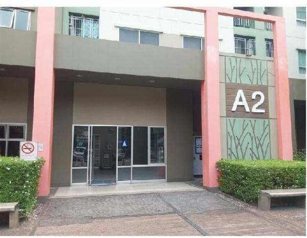 ��¤͹� �ѹ�����