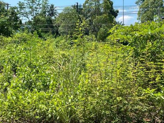 ��·��Թ ���ͧ��ѧ��ѧ