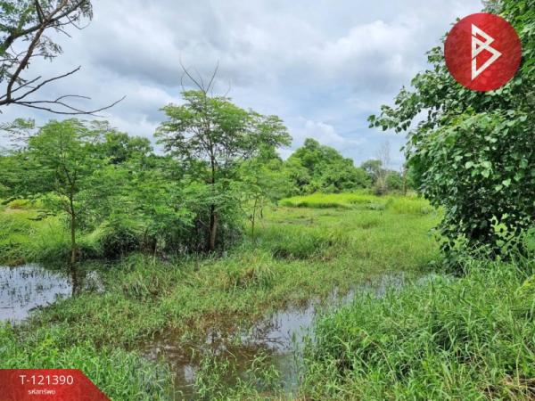 ���١�� �� The Best Property Agent