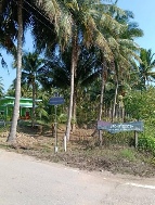 ��·��Թ �Ҥһ�С�Ȣ�� 450,000 �ҷ