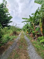 ��� ��ҹ �ù��� 261.80 ���ҧ��