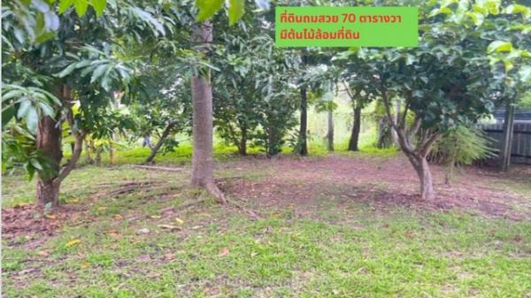 ���Թ ����Ҵ��ҧ