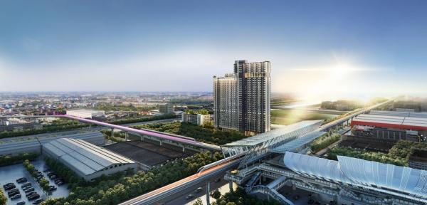 �͹��չ���� ��ا෾