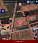 ���Թ ���ͧ 1,600 ���ҧ��