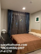 �����Ҥ͹������� �Ҥһ�С�������� 19,000 �ҷ/��͹