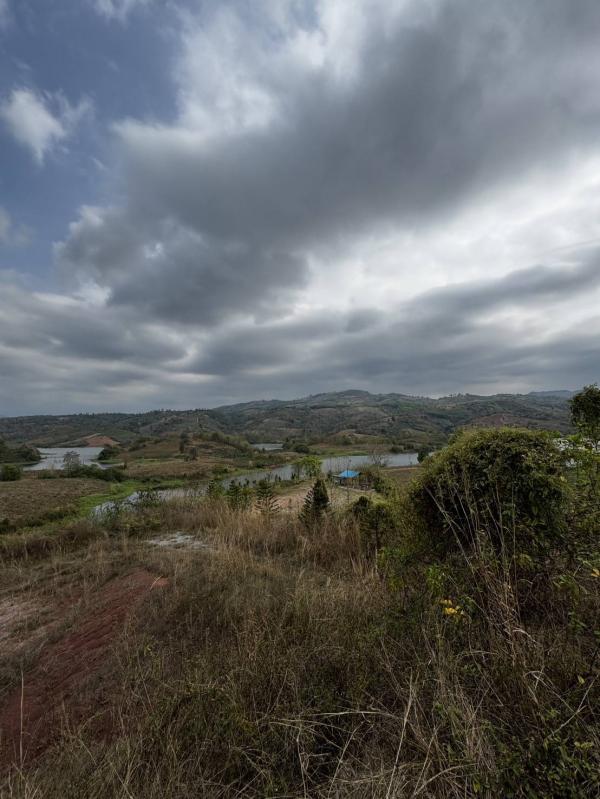 ���Թ��ҹ���� ���