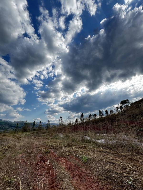 ���Թ��� ���