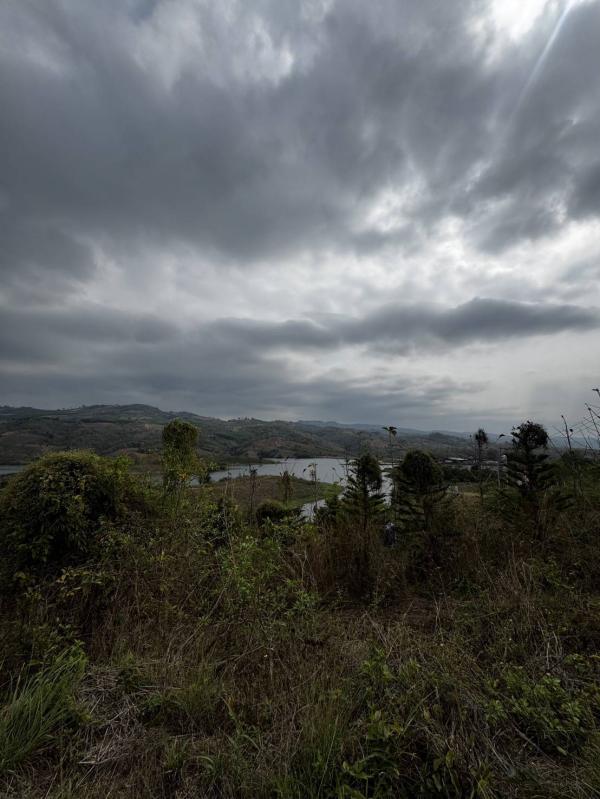 ��� ���Թ��ҹ���� ���  ��� 12,000,000 �ҷ ���Թ��鹷�� 8 ���  ���