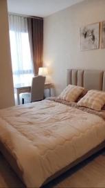 ������ �͹� �ҧ��