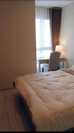 �͹� �ҧ��