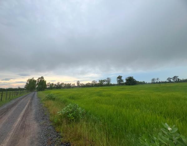 ที่ดิน สุรินทร์ ที่ดิน สุรินทร์