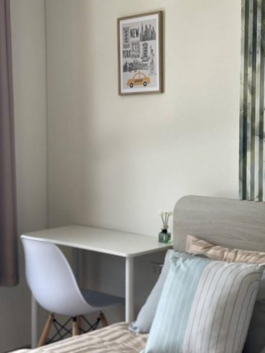 ��¤͹� �з������