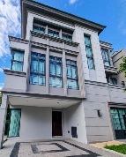 ��ҹ ������