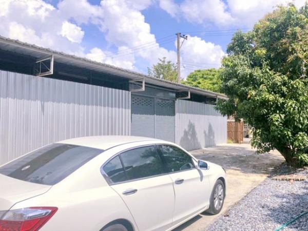 �����Һҧࢹ �� nut.allentrepreneur