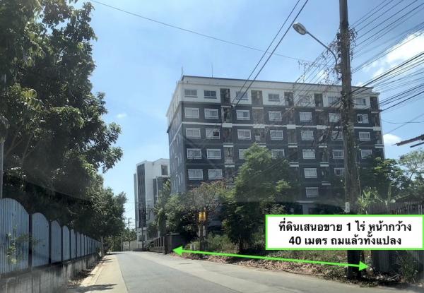 ���Թ ���ѧ