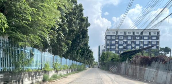 ���Թ�ҡ��� �������