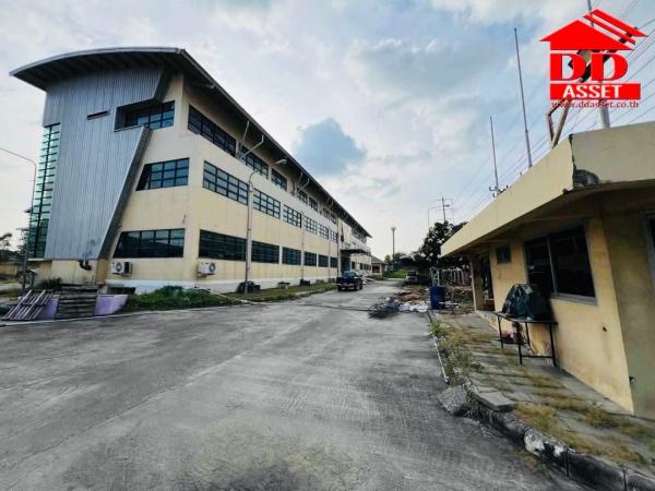 �ç�ҹ������ �ҧ�����طû�ҡ��