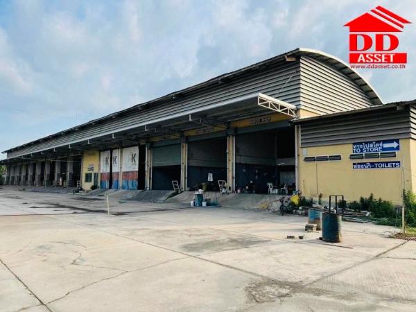 �ç�ҹ������ �ҧ�����طû�ҡ��