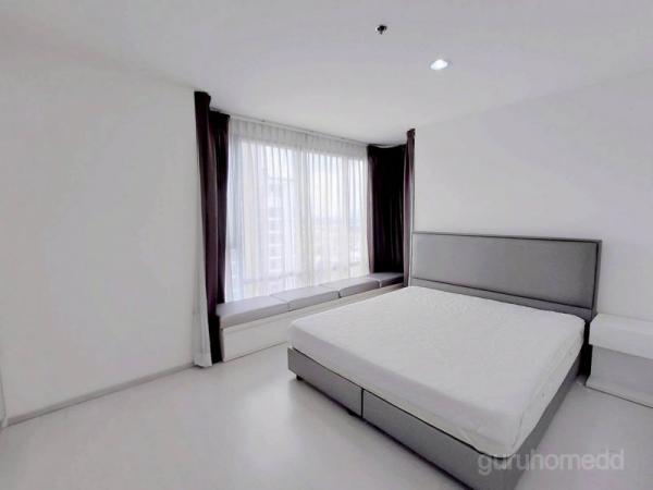 �͹ⴤ�ͧ�� �� condoguru1