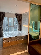 ������ �͹�