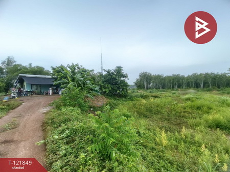 ���ͧ �� The Best Property Agent