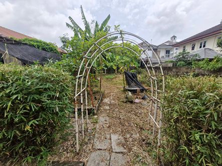 ���١�� �� Nititut