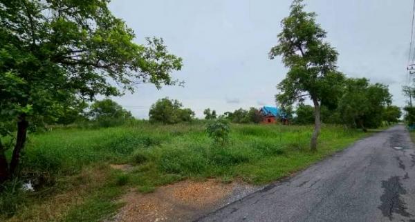 TOP HOME Rasl Eastate