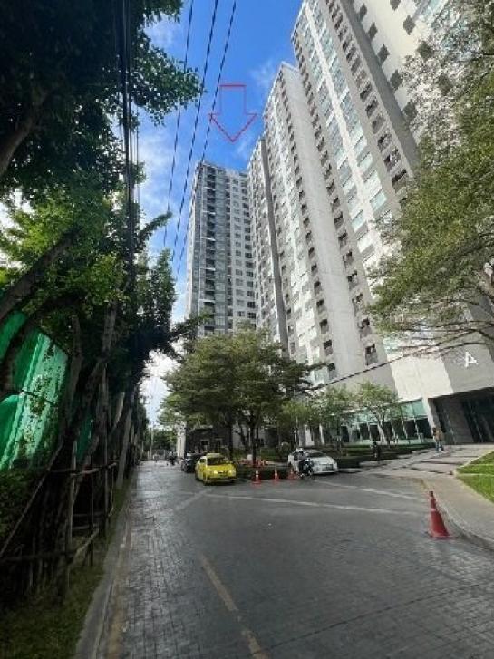 ��¤͹� 1,599,000 �ҷ