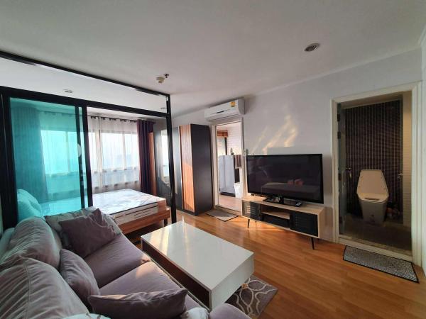 �͹�79 31 ����