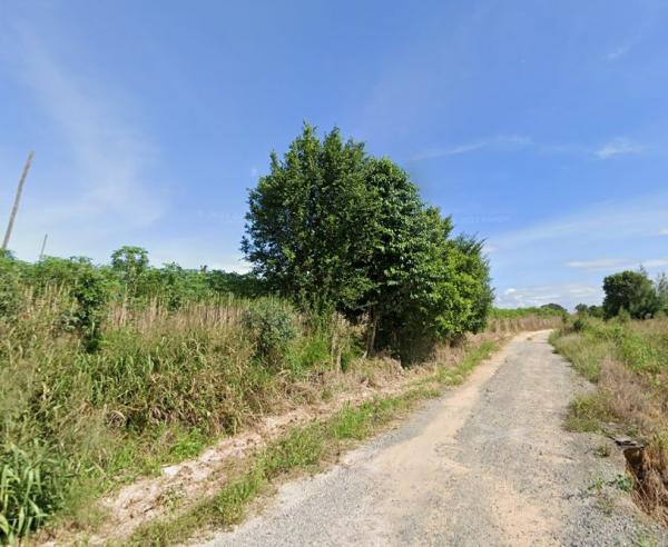 ที่ดิน 8962 ตารางวา ที่ดิน 8962 ตารางวา