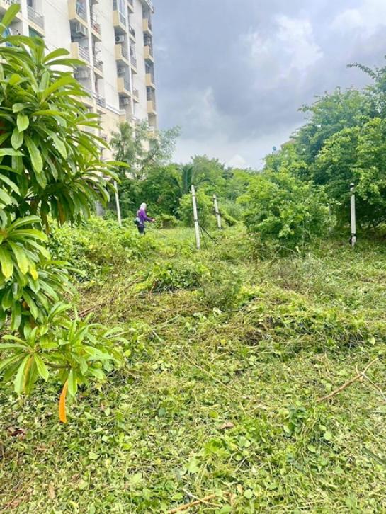 ��¡�ا෾ �� nut.allentrepreneur