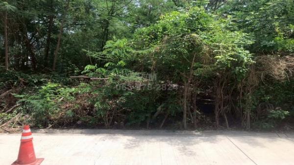 ��·��Թbts���