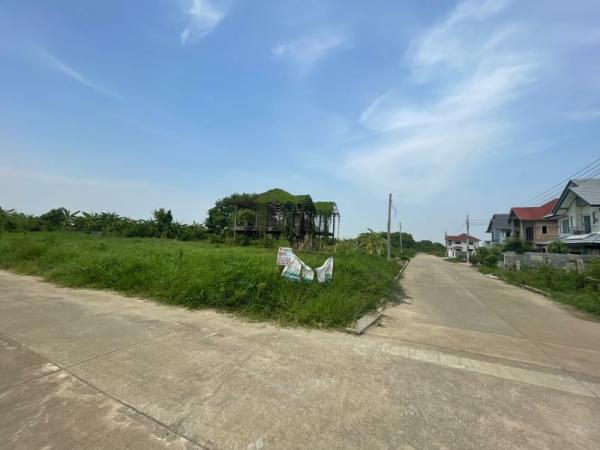 ���Թ˹ͧ�͡ ��ا෾��ҹ��