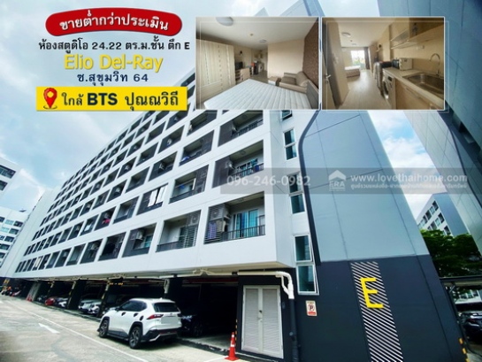 �͹ⴾ��⢹� ��ا෾��ҹ��