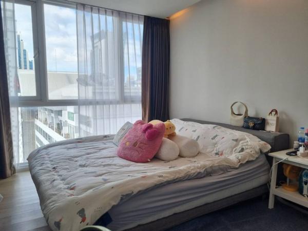 �͹� 58 ���ҧ���� �Ѳ��