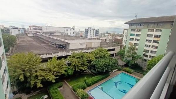 �ҧ�л� �� coasset22