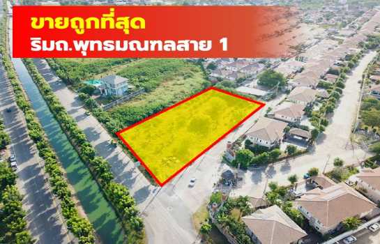 ��ا෾ �� The Vinvestor