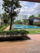 ������ �͹�