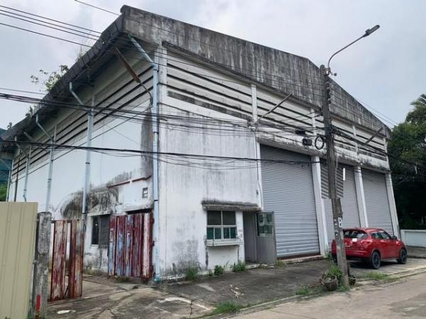 ��ѡ��� �� naorinpl