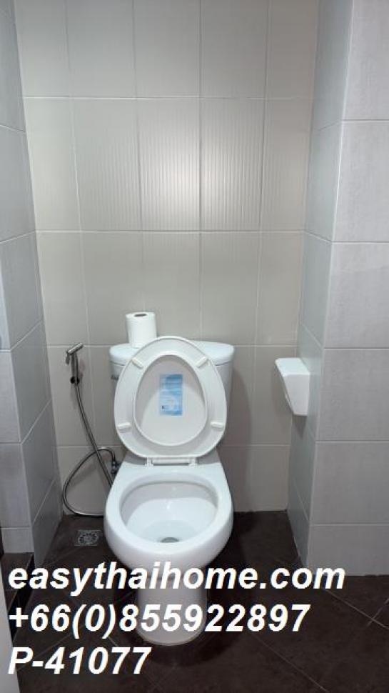 �͹���ö俿�� ��ͧ��